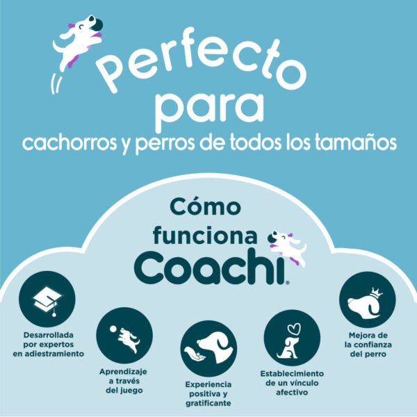 Coachi TUGGI BALL Παιχνίδι Μπλε - Image 6