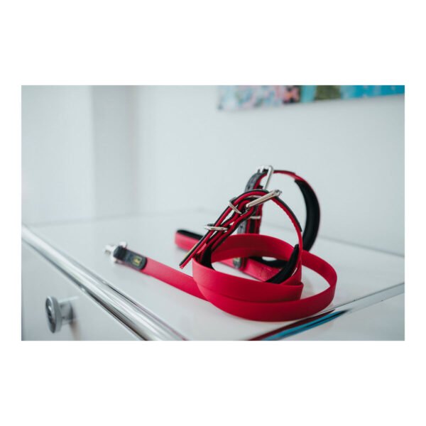 Hunter CONVENIENCE Λουρί Ροζ 2x120cm - Image 3