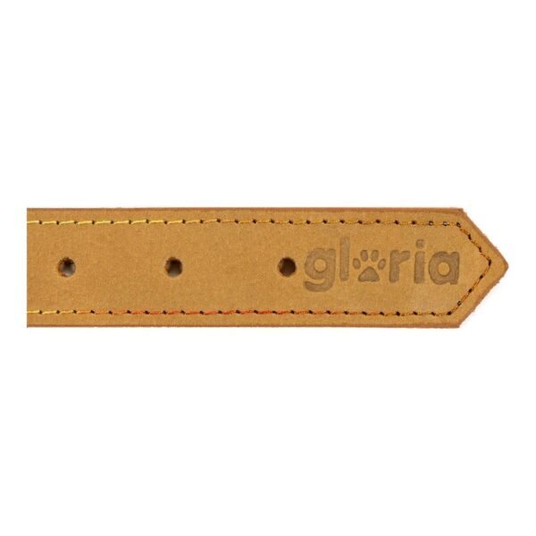 Gloria Oasis Περιλαίμιο Κίτρινο 1,5x40cm - Image 3