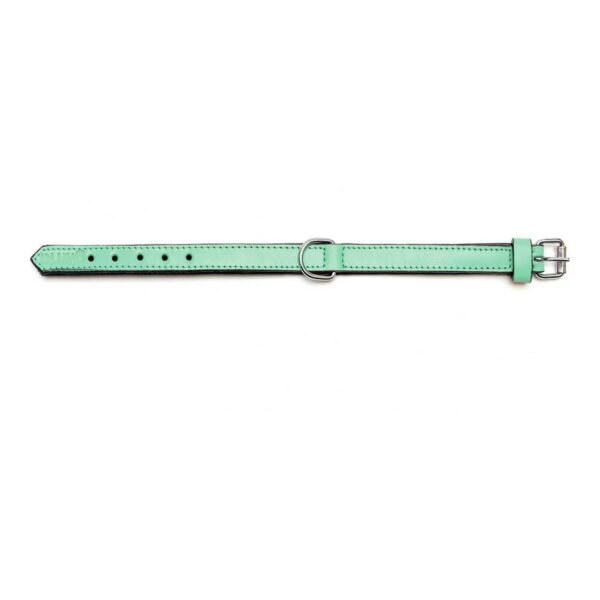 Gloria Περιλαίμιο Πράσινο 40x2cm - Image 7