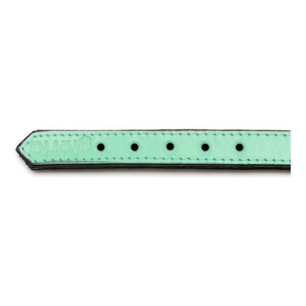 Gloria Περιλαίμιο Πράσινο 40x2cm - Image 2