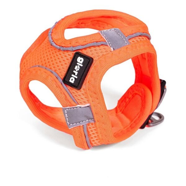 Gloria Air Mesh Trek Star Σαμαράκι Πορτοκαλί XXXS 18-20cm
