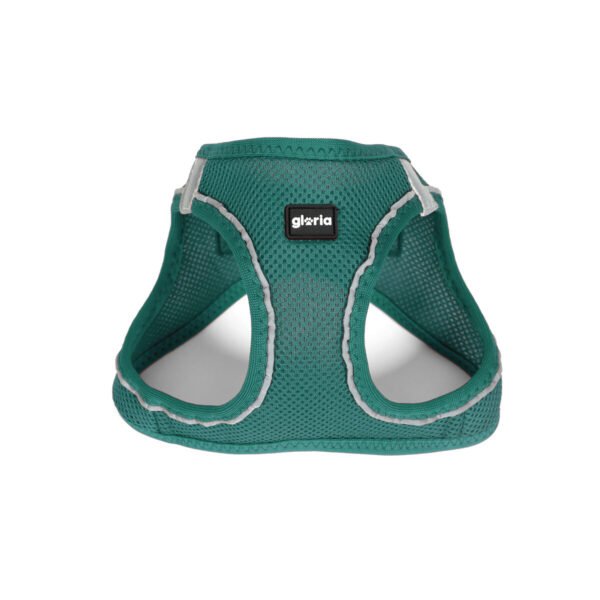 Gloria Trek Star Σαμαράκι Τυρκουάζ M 45-47cm - Image 5