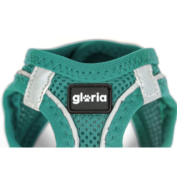 Gloria Trek Star Σαμαράκι Τυρκουάζ M 45-47cm - Image 2